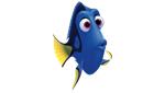Antwoord Dory