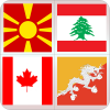 logo game Country Flags 1