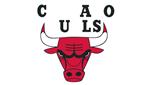Risposta Chicago Bulls
