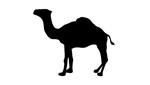 Resposta Camel