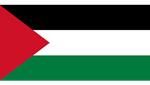 Risposta Palestine